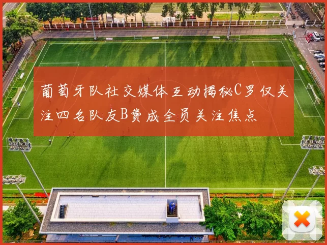 葡萄牙队社交媒体互动揭秘C罗仅关注四名队友B费成全员关注焦点